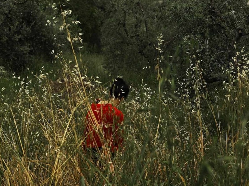 "Segni": a Palazzo Braschi la mostra che racconta la violenza sulle donne