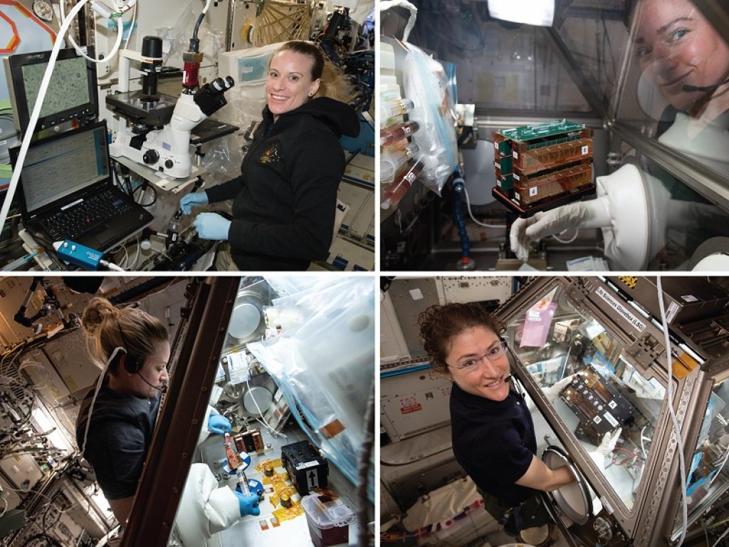 Esperimenti in orbita degli scienziati del Cedars-Sinai Medical Center, che intendono sfruttare lo spazio per la ricerca a gravità zero