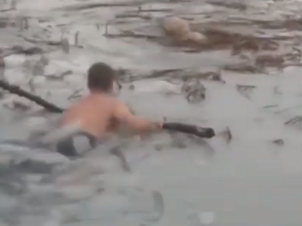 Cane cade in un lago ghiacciato: due agenti si tuffano in acqua per salvarlo. Il video ha fatto il giro del mondo sui social