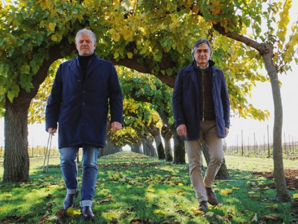 Dall'economia circolare nasce la Ribolla Gialla di Filare Italia