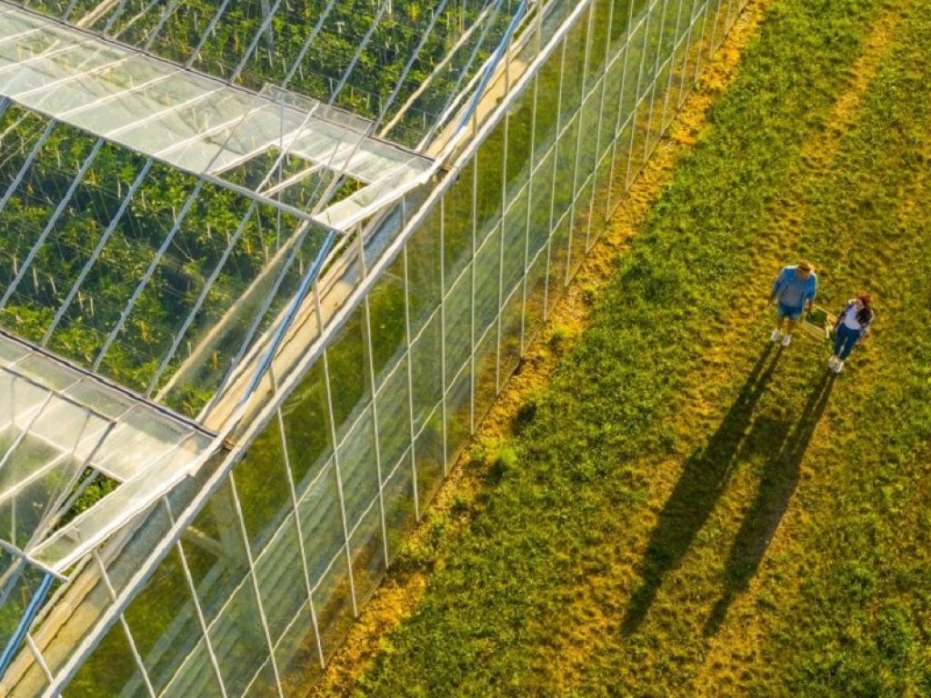 Confagricoltura Marche Umbria ed Enel