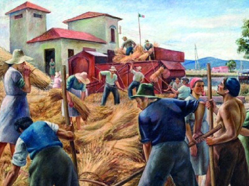 "Il grano della bonifica lucchese" di Catarsini torna visibile