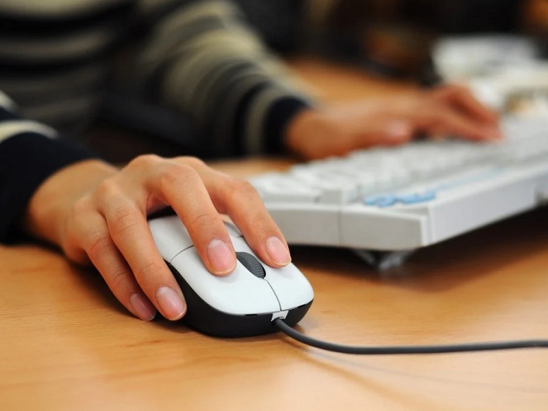 intranet windows 10 sondaggi online