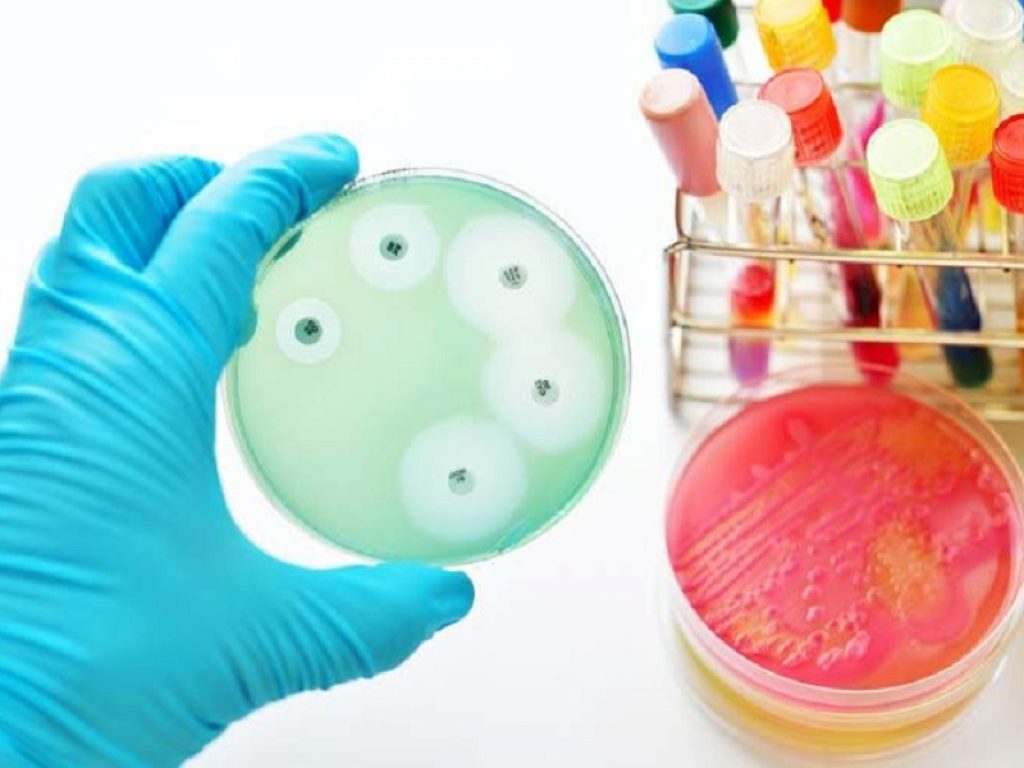 malattia meningococcica