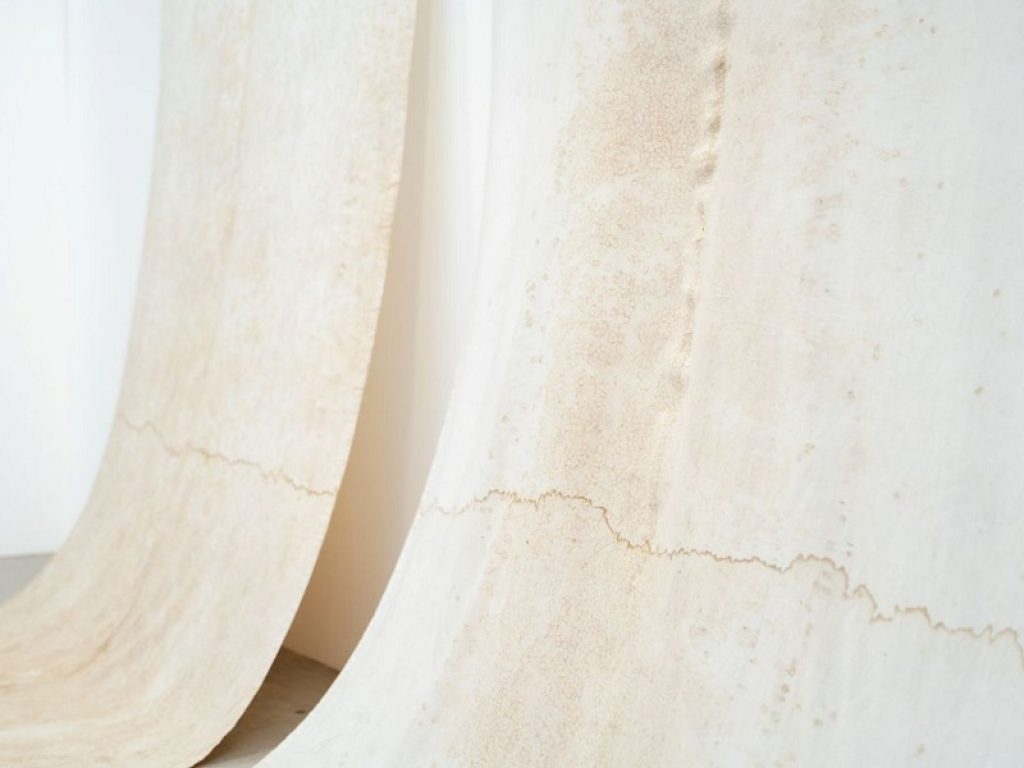 A Venezia "La bellezza dell'impermanenza" di Gaia Bellini