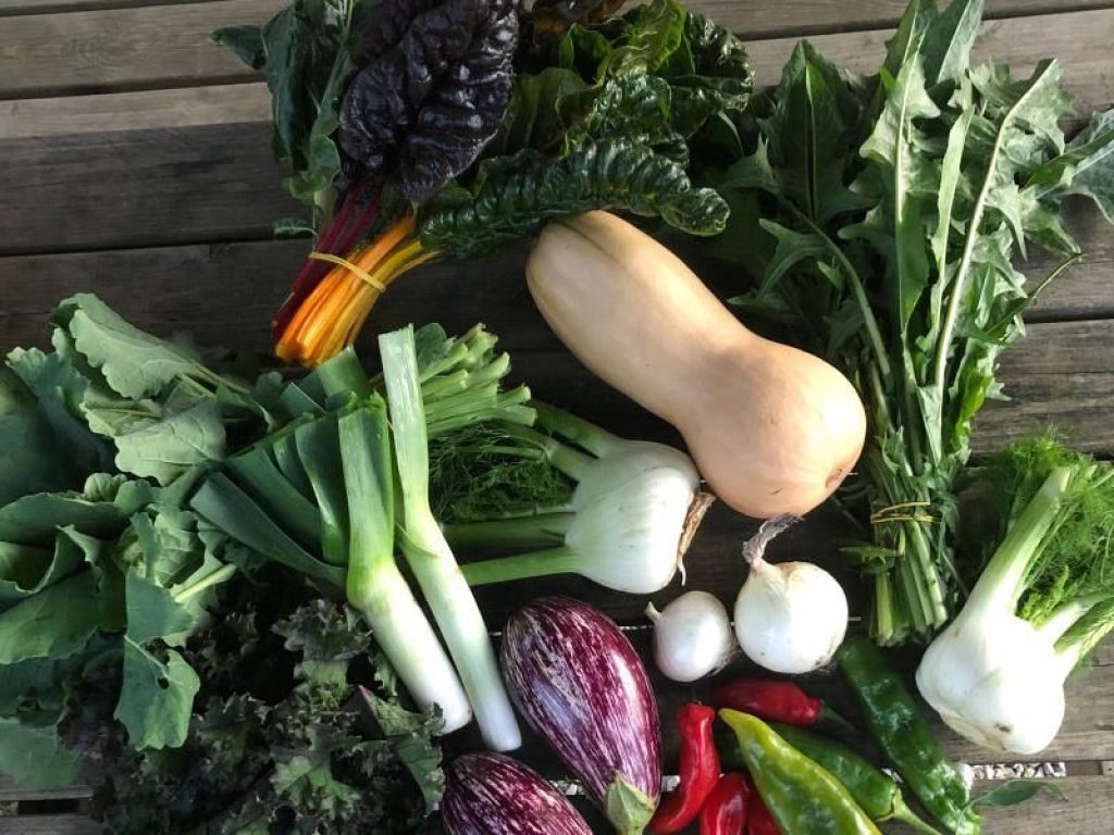 Spagna leader nell'UE per il commercio di frutta e ortaggi