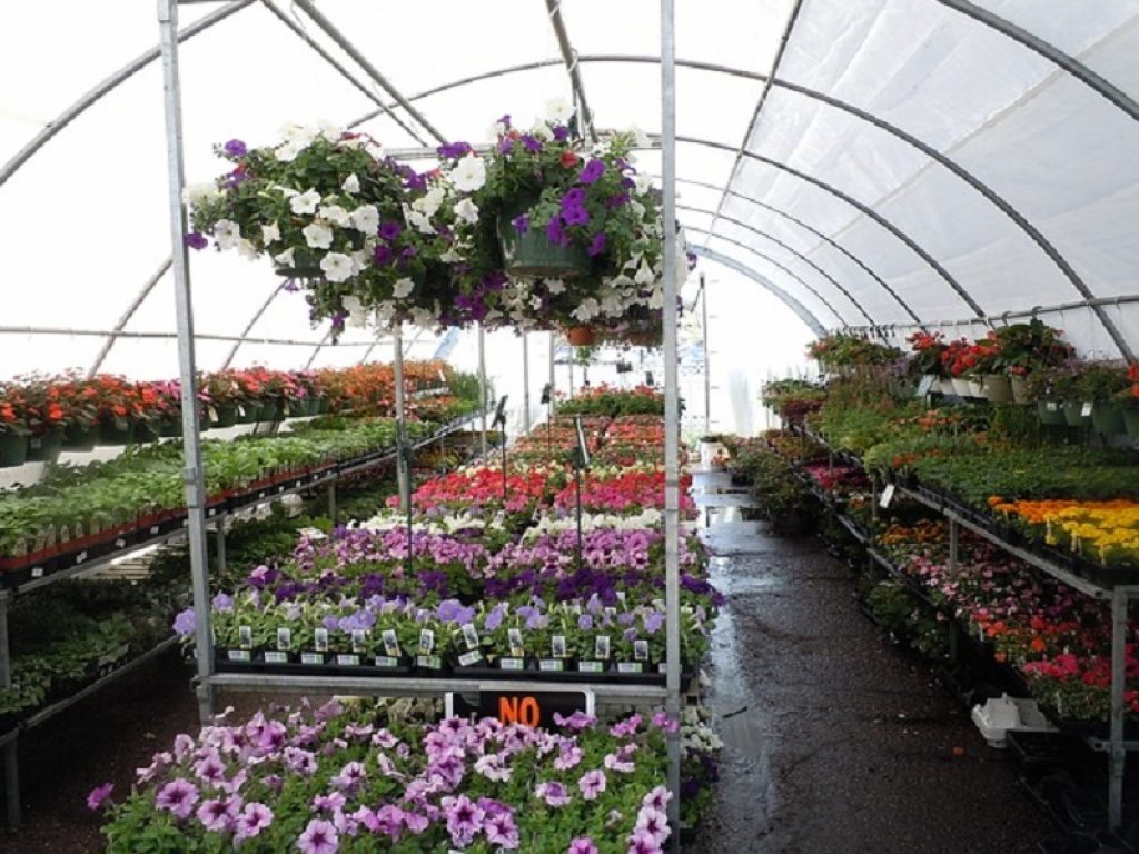 aziende florovivaistiche