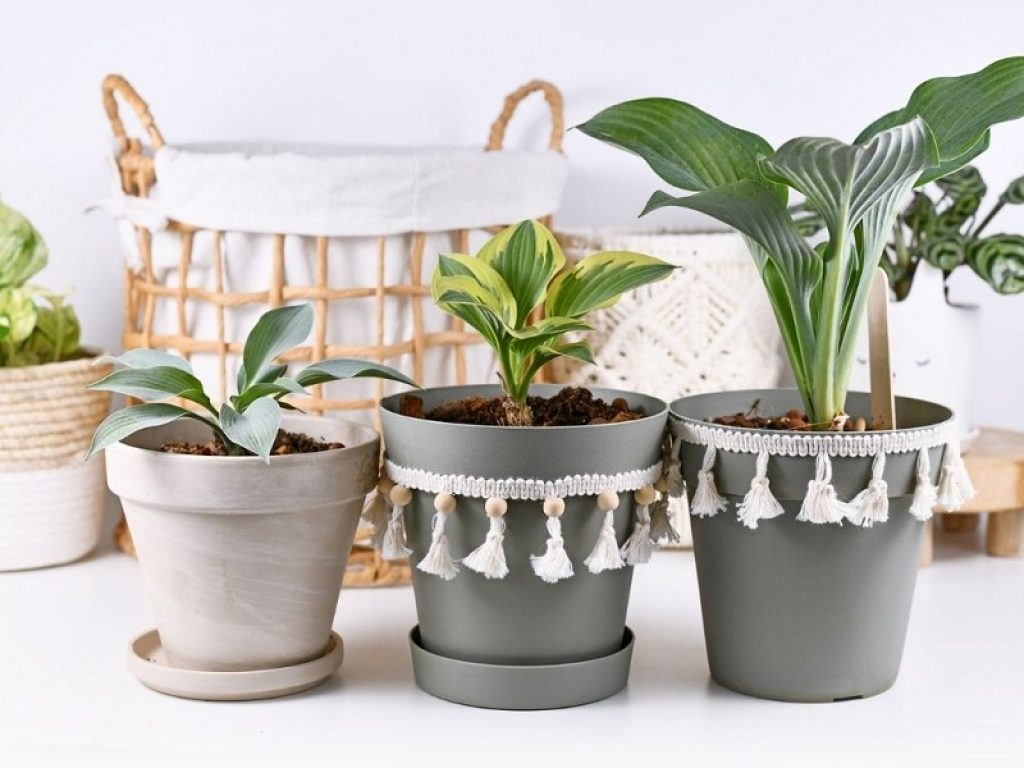 Arredare casa: come posizionare gli oggetti decorativi