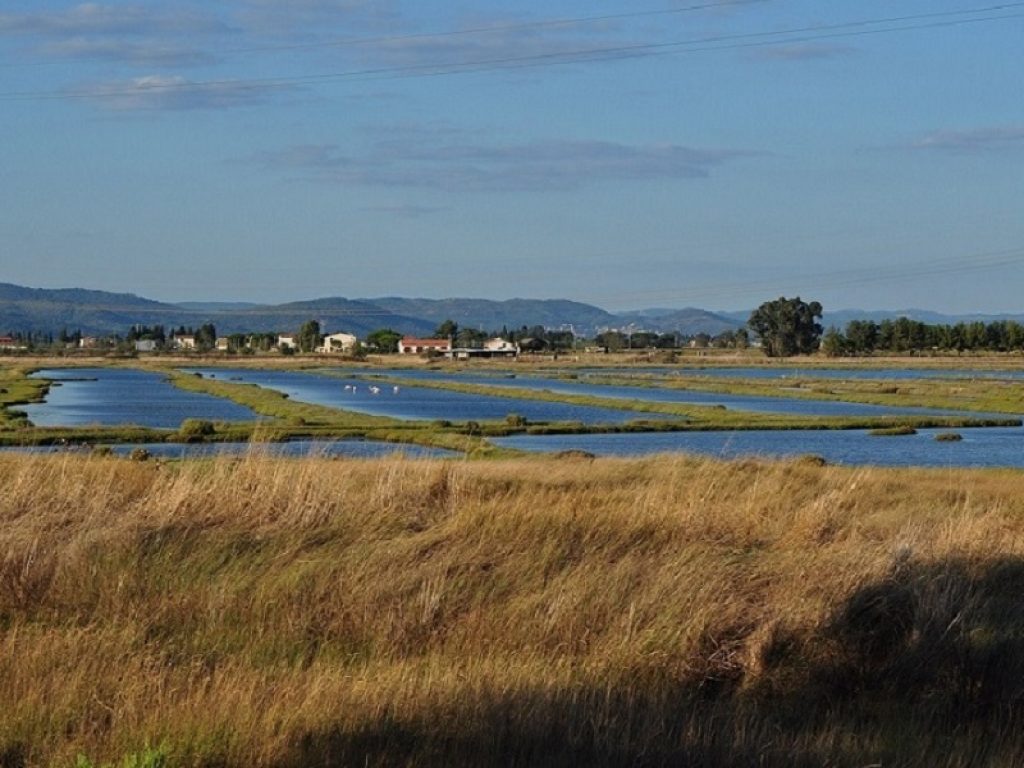 Oasi Orti Bottagone: Enel e Wwf rinnovano la convenzione