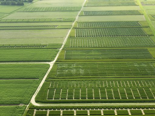 terreni agricoli polizze pac agricoltura biodinamica carbonio organico
