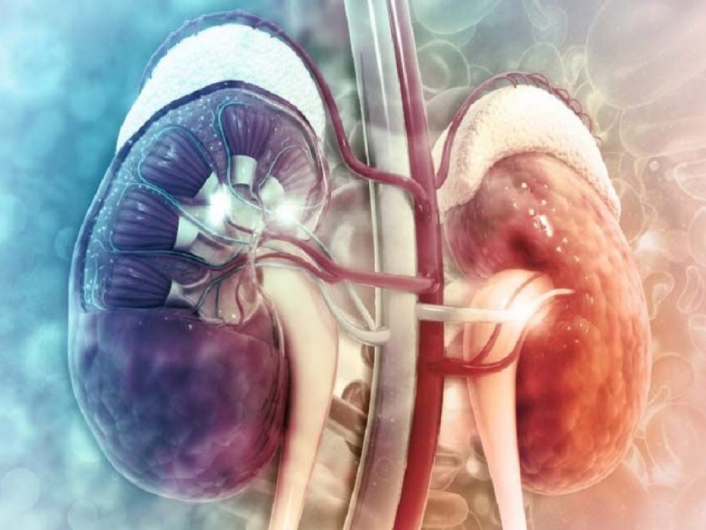 tivozanib rene nivolumab