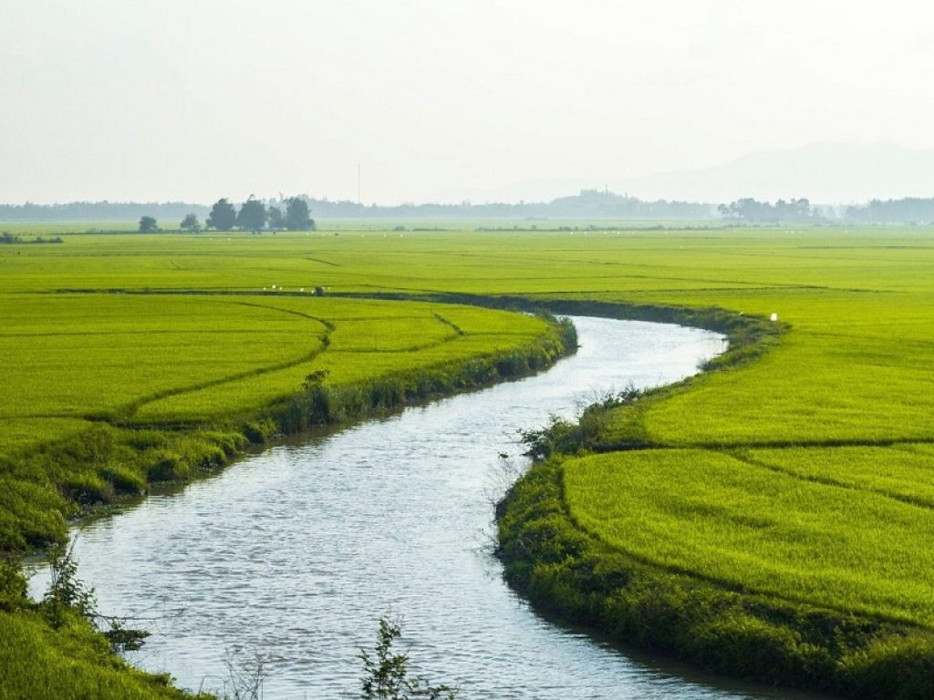 Nuovo modello riduce l'impatto dell'urbanizzazione sull'ecosistema