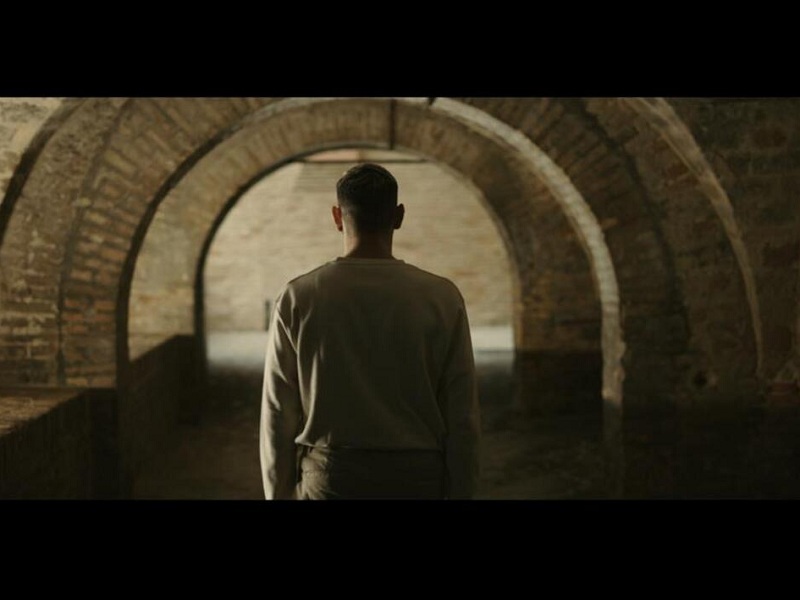 Beauty in the Beauty