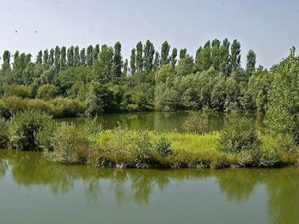 L’agrivoltaico per l’Arca di Noè