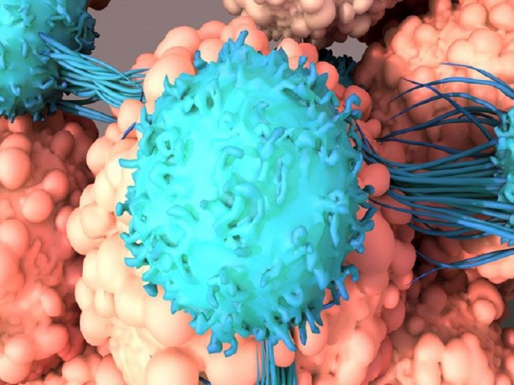 glofitamab brexu-cel linfoma a cellule mantellari