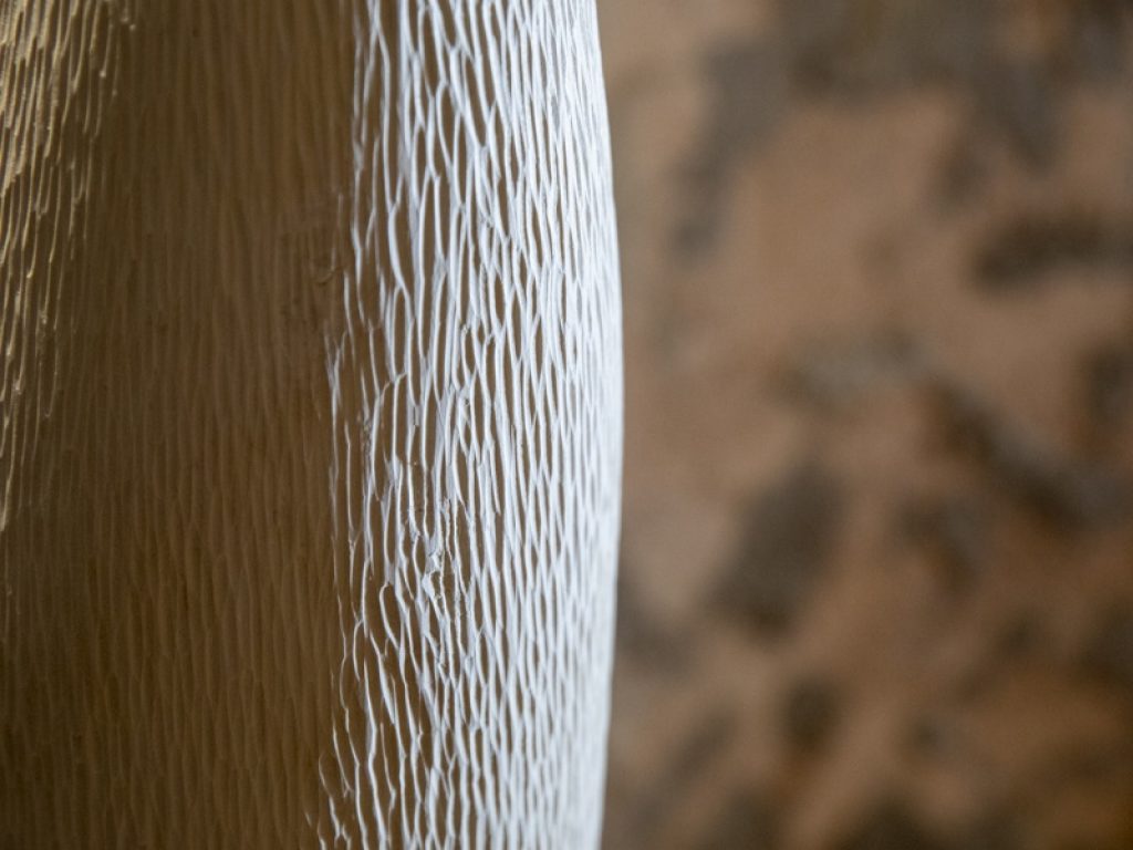 Fraxinus ornus-Forma e volume