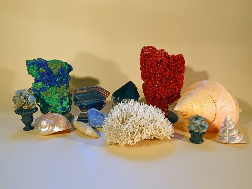 NATURALIA e MIRABILIA