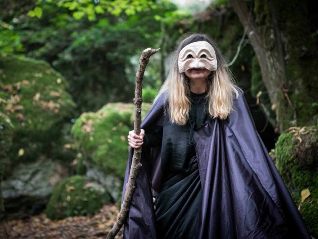 bosco sulla francigena