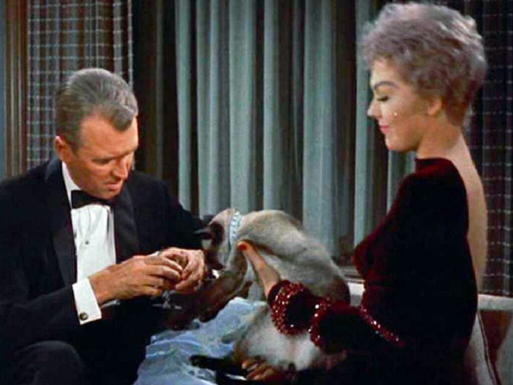 Una strega in paradiso