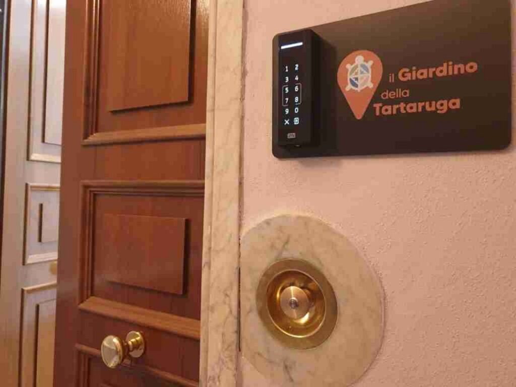 La sosta della tartaruga