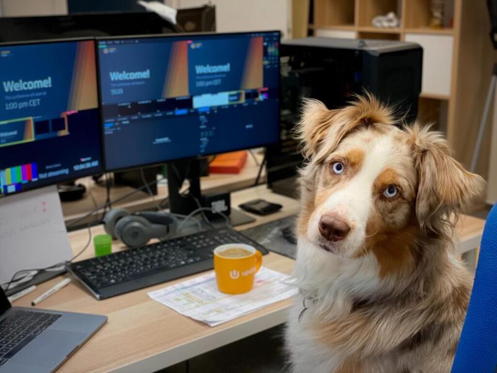 giornata mondiale del cane in ufficio