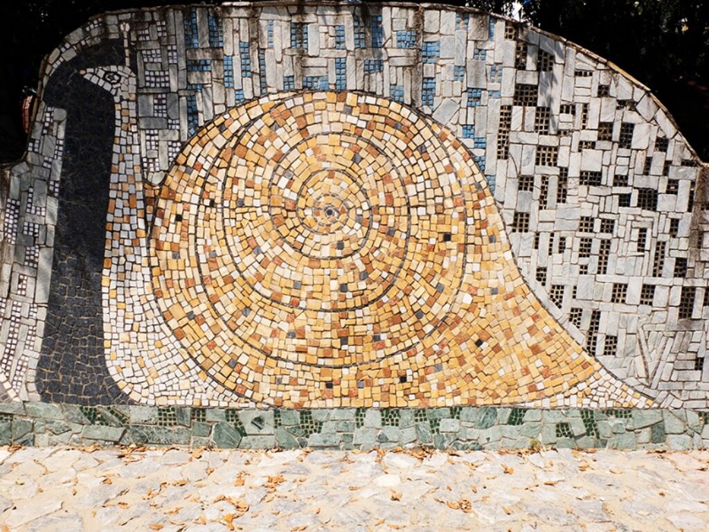 progetto vero pinocchio