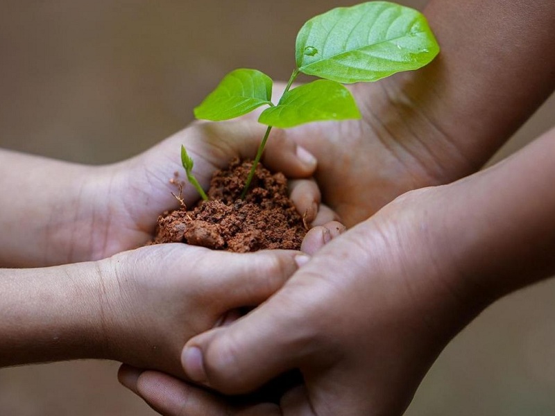 microgreens agricoltura sociale spartan tech