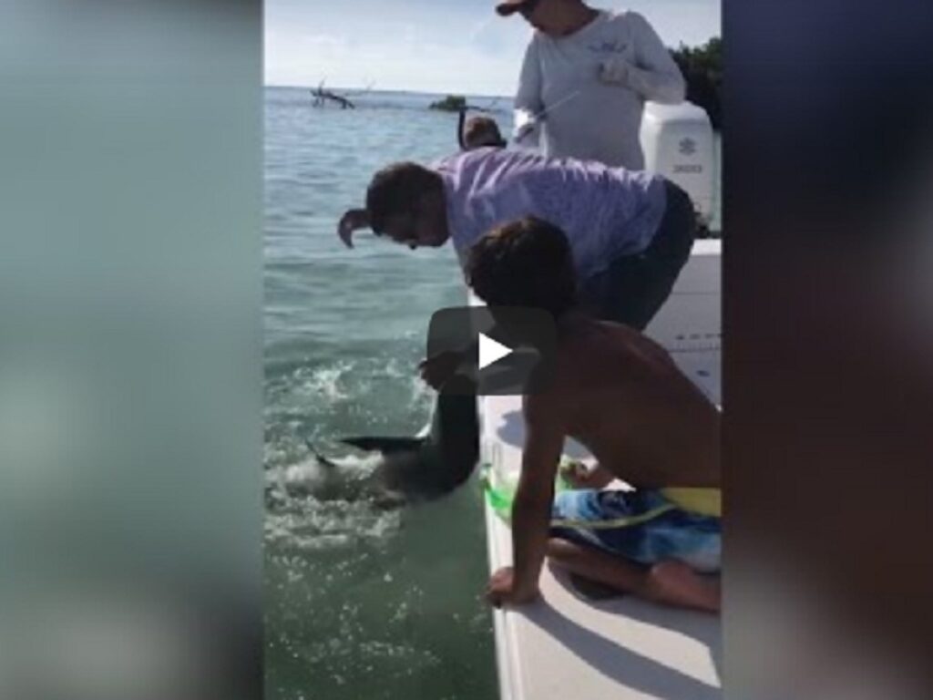 squalo morde pescatore