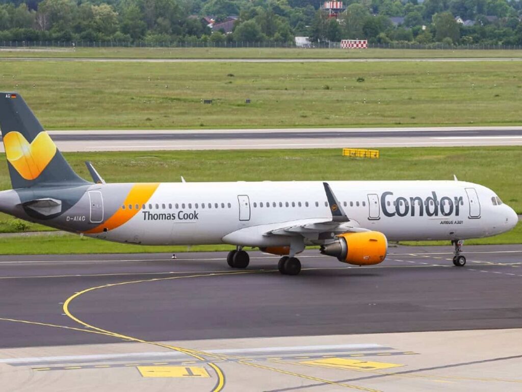 condor