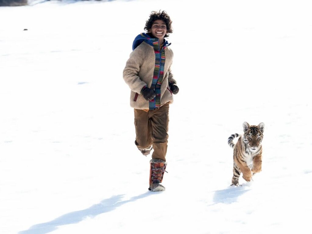 il ragazzo e la tigre