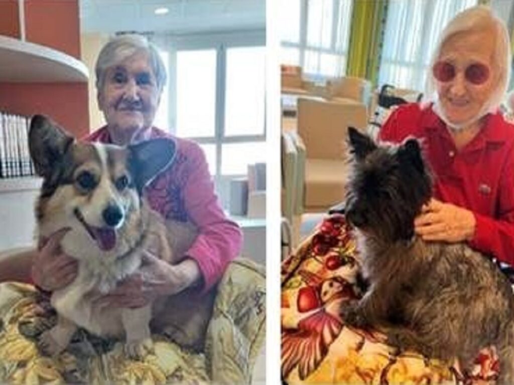 Orpea Italia lancia la Pet Therapy in RSA