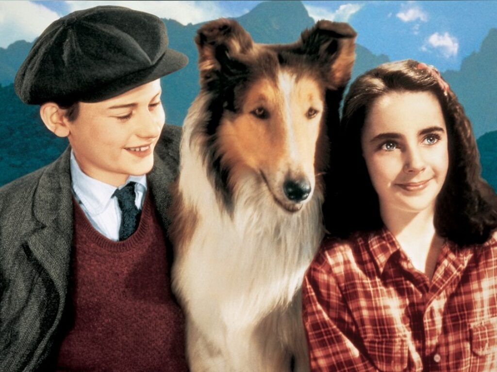 torna a casa, lassie!