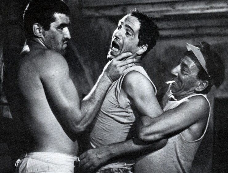 a cavallo della tigre