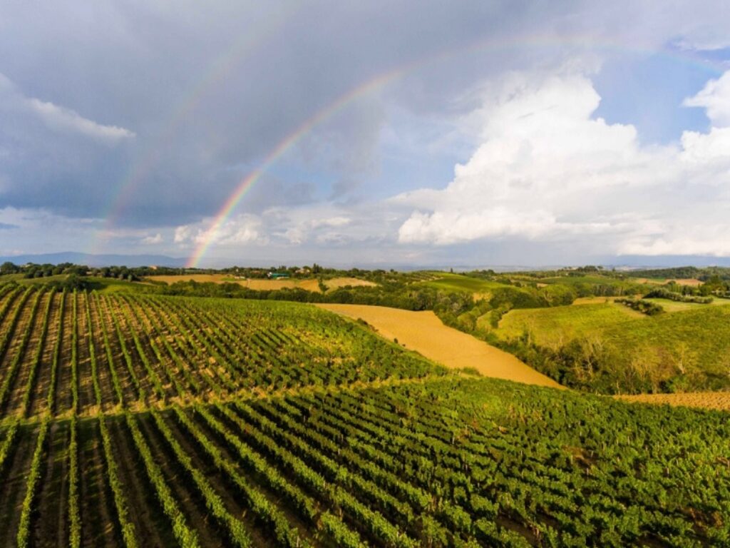 Cinque tenute a emissioni zero in Toscana