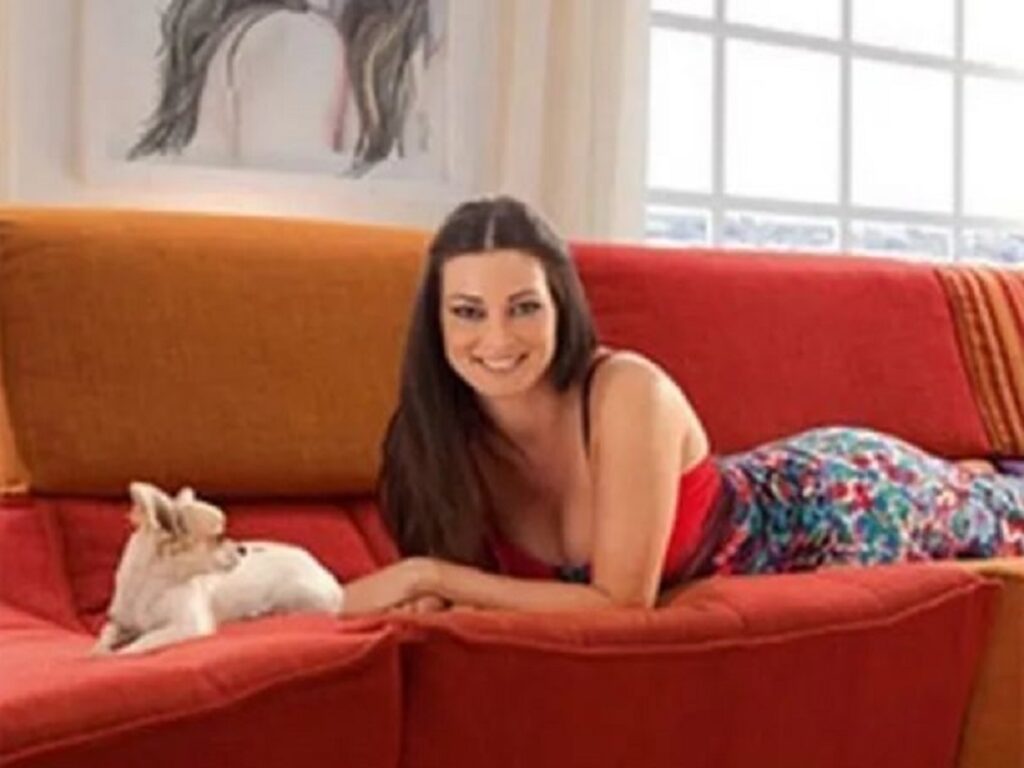 Pet Carpet Film Festival