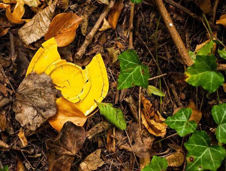 parchi rifiuti legambiente