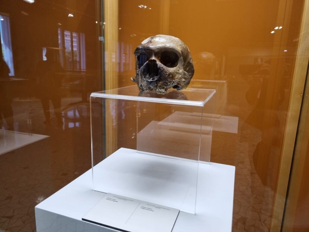 l’ala Preistoria del Museo della Civiltà di Roma