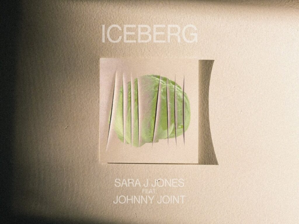 SARA J JONES & JOHNNY JOINT