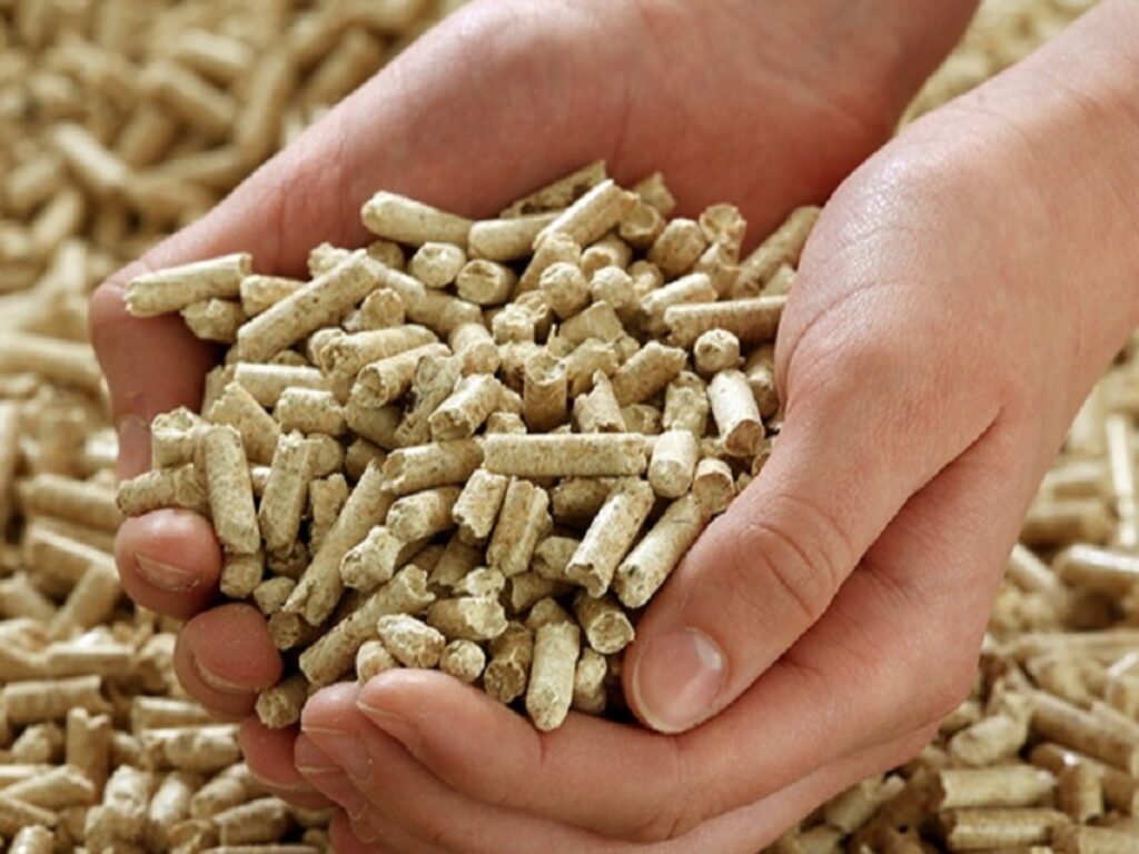 pellet aiel biomassa