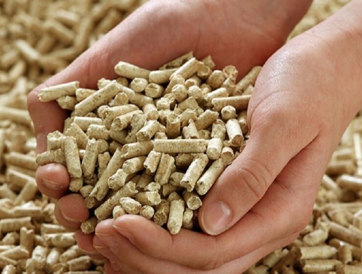 pellet aiel biomassa