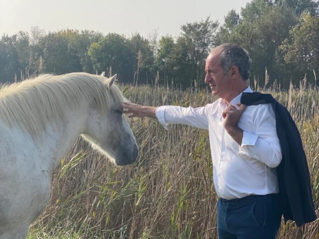 cavallo del delta