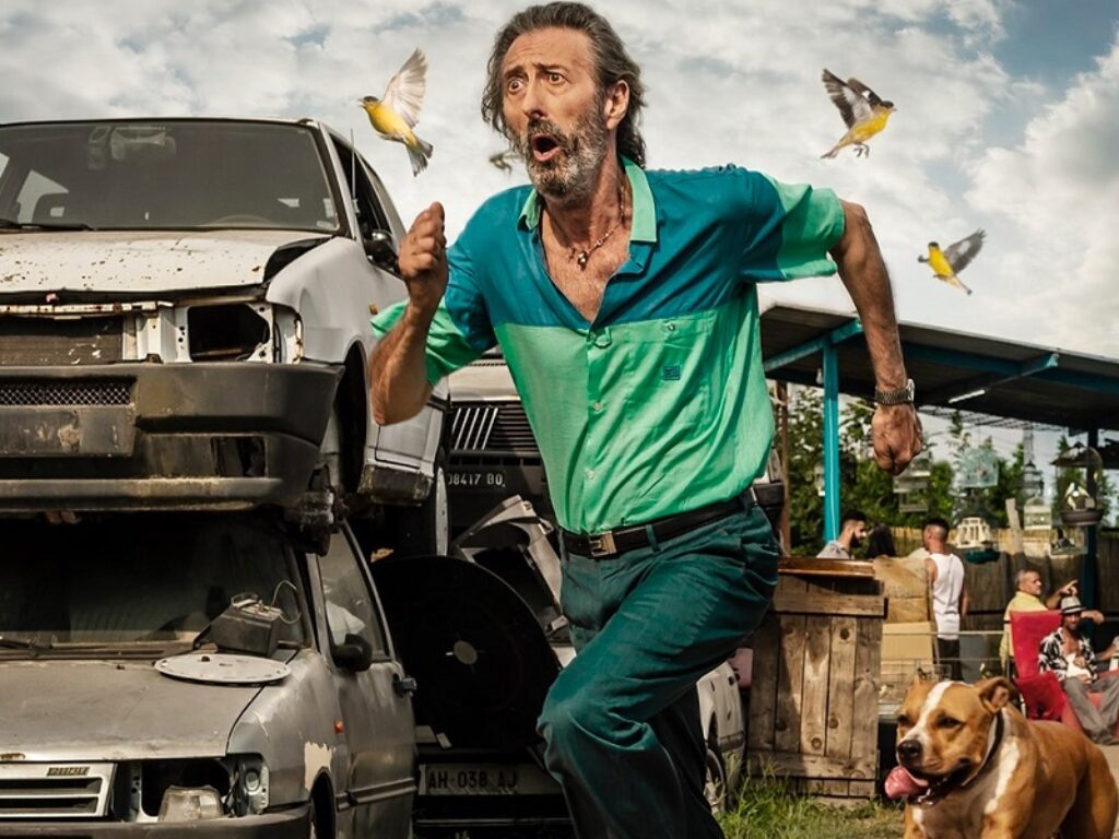 Il ladro di cardellini