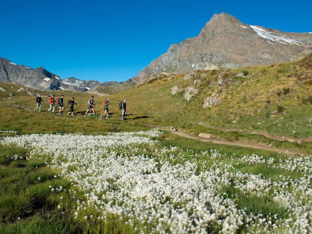 parco nazionale del gran paradiso