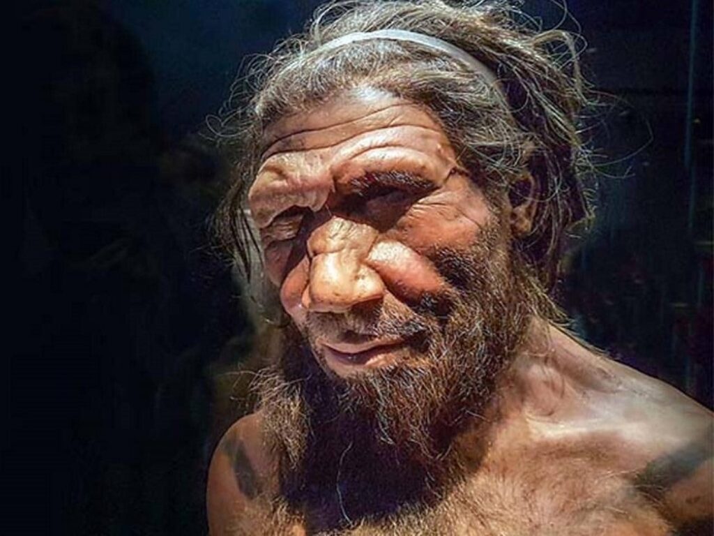neanderthal