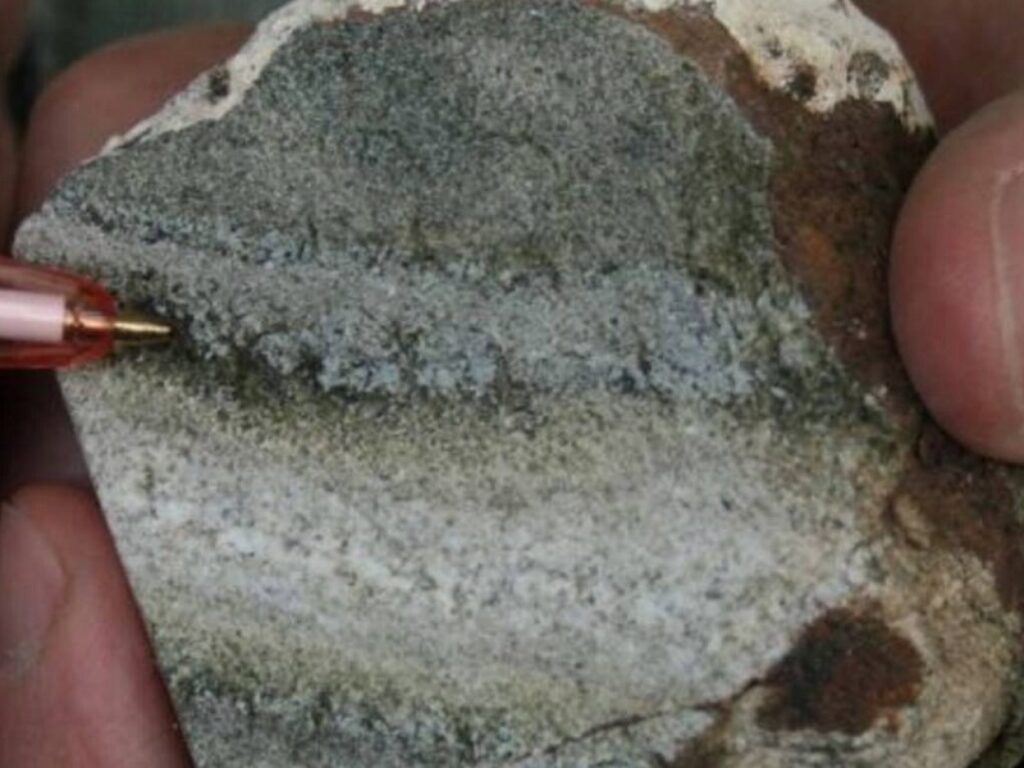 tettonica delle placche