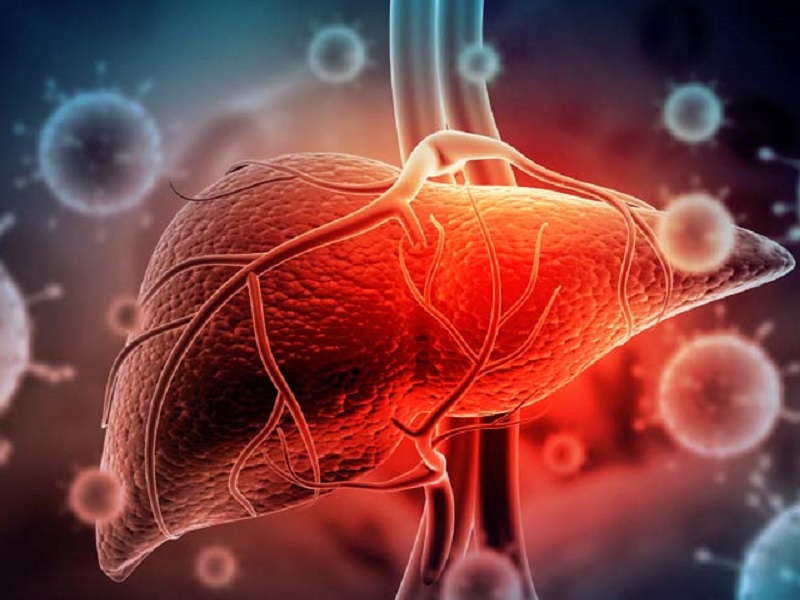 aramchol pegozafermin fegato studio piter fibrosi epatica