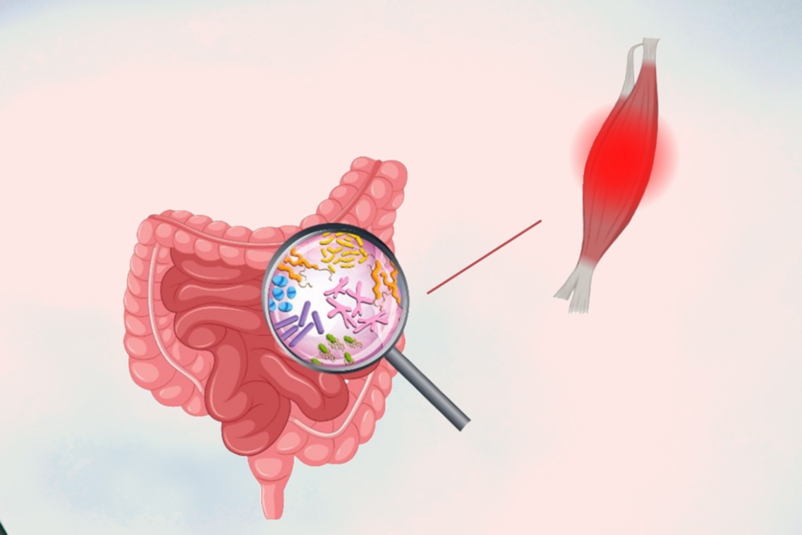 distrofia muscolare di duchenne