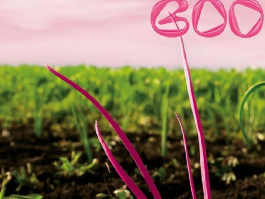 booming contemporary art