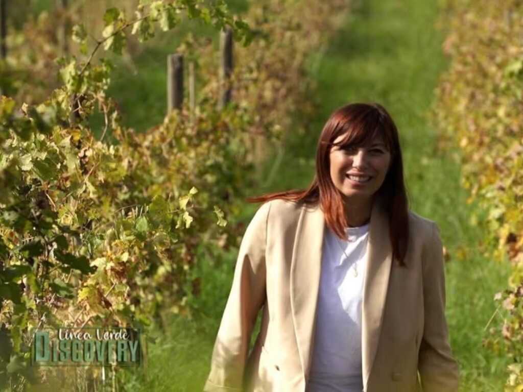 linea verde discovery