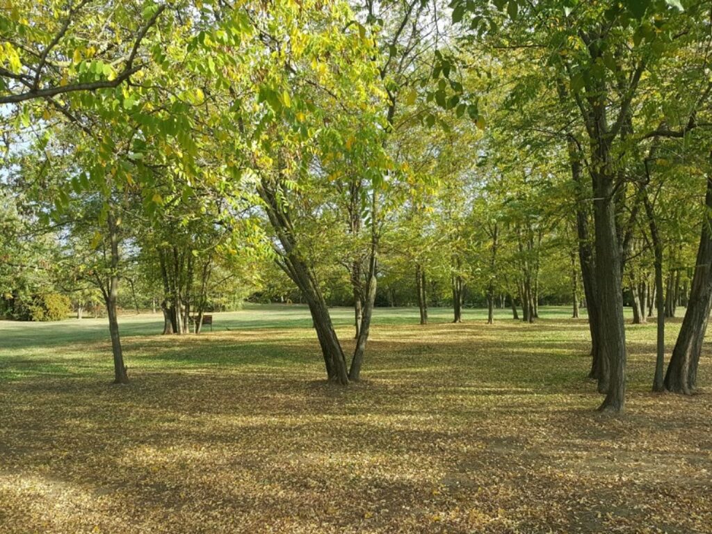 e.on boschi treedom spiritus